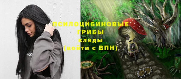 ALPHA PVP Гусь-Хрустальный