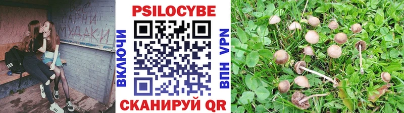 Галлюциногенные грибы Psilocybine cubensis  дарк нет Telegram  Сафоново 